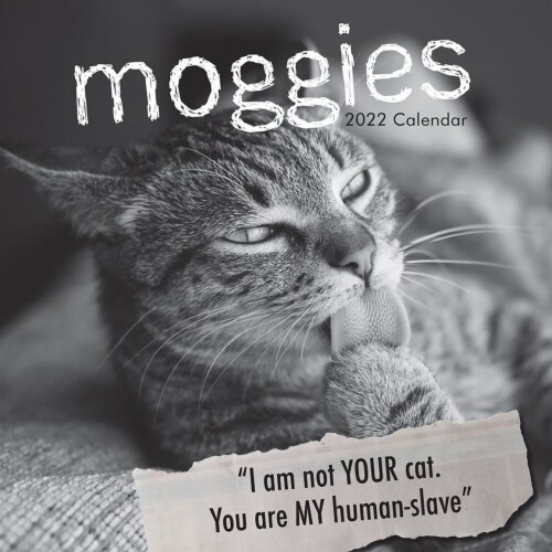 2022 Wall Calendar Moggies Cats Funny Quotes 12x12 , 16 Months with 180  Stickers, PACK - Kroger