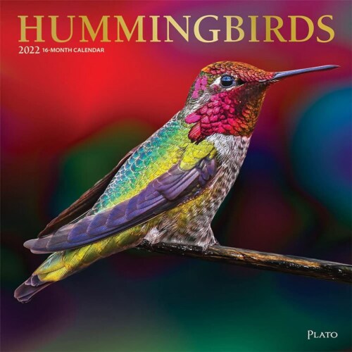 2022 Wall Calendar Hummingbirds Animals Wildlife 12x12 16 Month w Mini  Calendar, PACK - Ralphs