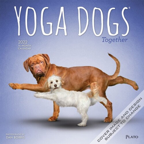 2022 Wall Calendar Yoga Dogs Together OFFICIAL 12x12 , 16 Months w Mini  Calendar, PACK - Kroger