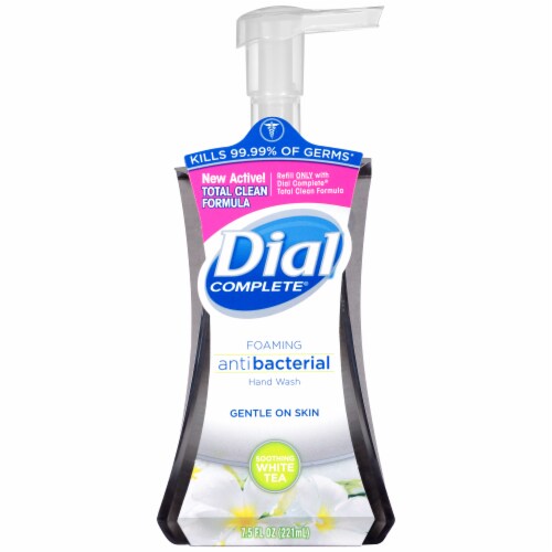 Dial Complete® Soothing Anti-Bacterial White Tea Foaming Hand Wash Perspective: front