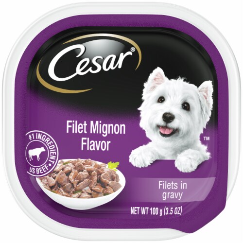 Cesar Filet Mignon Wet Dog Food Perspective: front