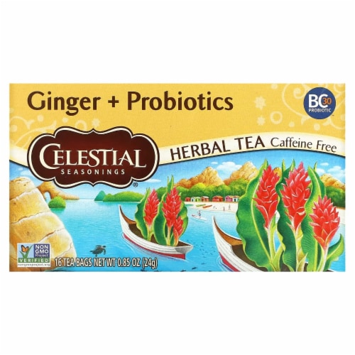 Celestial Seasonings - Tea - Ginger And Probiotics - Case Of 6 - 20 Bags Perspective: front