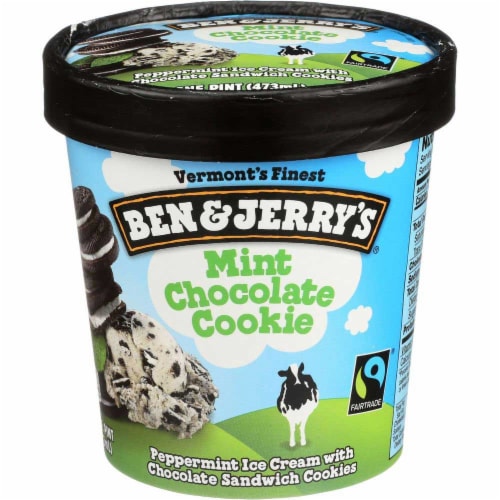 Ben & Jerry's® Mint Chocolate Cookie Ice Cream Perspective: front