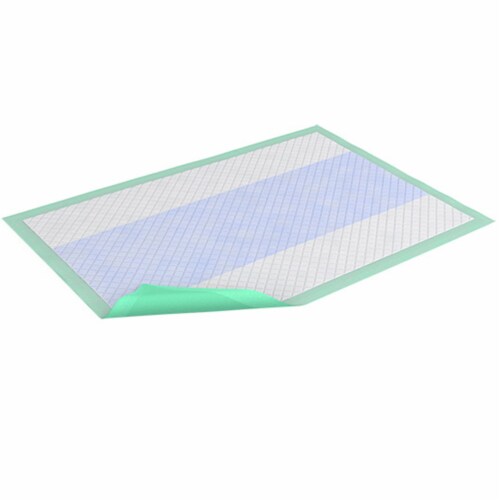 TENA Premium Disposable Underpad Polymer 29.5X29.5  61312 75 pads Perspective: front