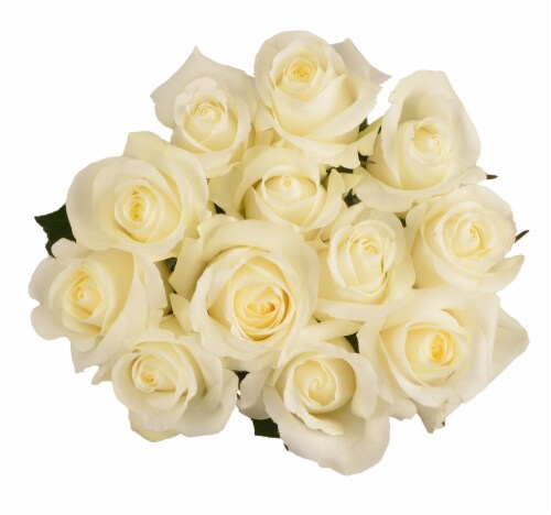 Passion Growers Dozen Fresh Cut White Roses (Approximate Delivery is 1-3 Days) Perspective: front