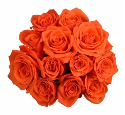 Passion Growers Dozen Fresh Cut Orange Roses (Approximate Delivery is 1-3 Days) Perspective: front