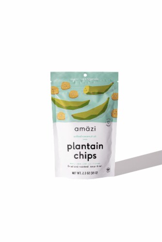 Salted Coconut Oil Plantain Chips, Case of 6 Perspective: front