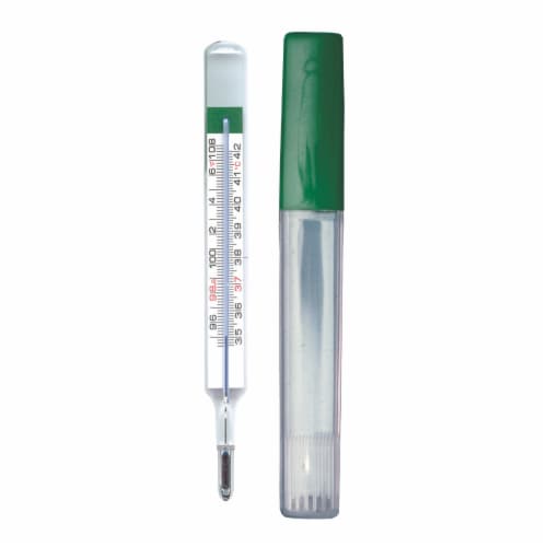 Adtemp Oral & Rectal Digital Thermometer Stick LCD Display 418N 1 Each, 1 -  Kroger