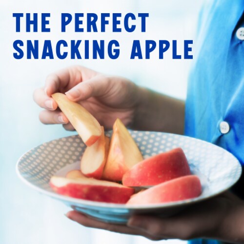 Small Fuji Apple – Each Perspective: left