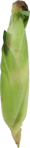 Corn on the Cob Perspective: left