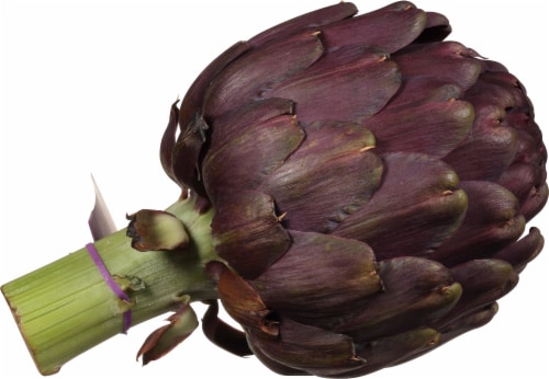 Ocean Mist Farms Purple Artichoke Perspective: left