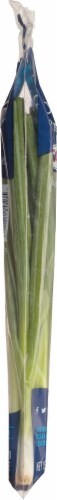 Ocean Mist® Farms Green Onions Perspective: left