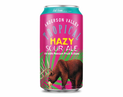 Anderson Valley Tropical Hazy Sour Craft Beer Perspective: left