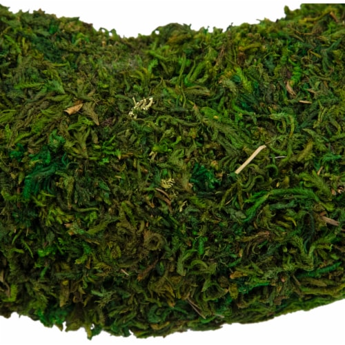 Northlight 13.7 Reindeer Moss Artificial Floral Spring Wreath - Unlit Perspective: left