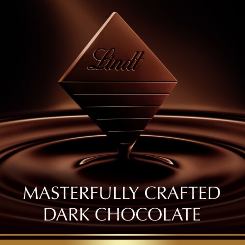 Lindt EXCELLENCE A Touch of Sea Salt Dark Milk Chocolate Candy Pouch Perspective: left