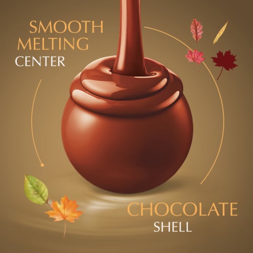 Lindt LINDOR Fall Assorted Chocolate Candy Truffles Bag Perspective: left