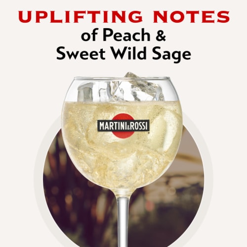 Martini & Rossi Moscato Italy Sparkling Wine Perspective: left