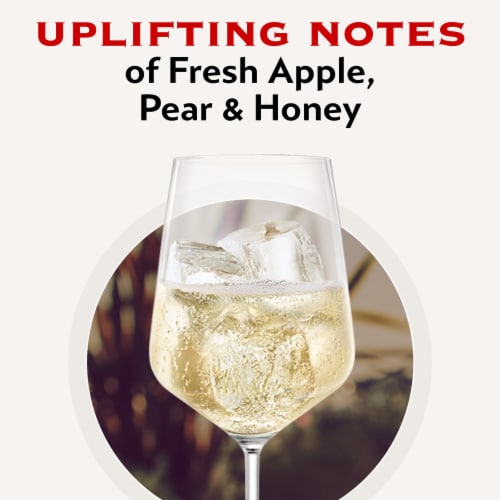 MARTINI & ROSSI® Prosecco Sparkling Wine Perspective: left