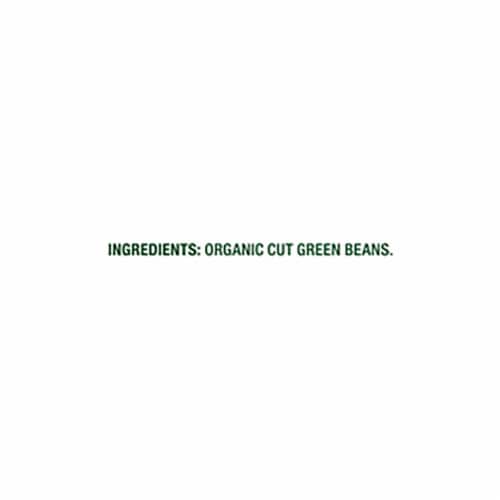 Simple Truth Organic® Frozen Green Beans Cut Perspective: left
