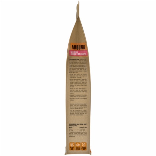 ABOUND Salmon Brown Rice Recipe Adult Dry Cat Food 13 lb City Market