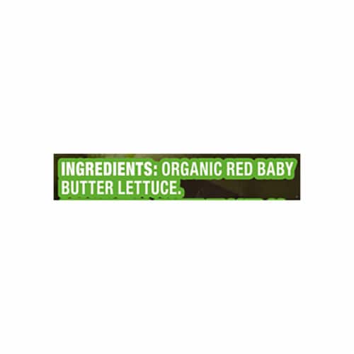 Simple Truth Organic® Baby Red Butter Lettuce Perspective: left