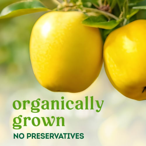 Simple Truth Organic® Opal® Apples Bag – 2 Pound Bag Perspective: left