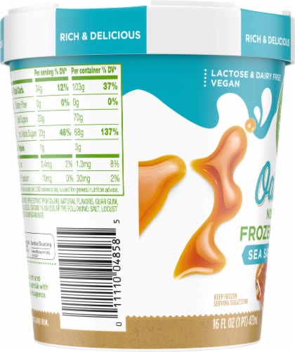 Simple Truth™ Sea Salt Caramel Oatmilk Dairy Free Frozen Dessert Perspective: left