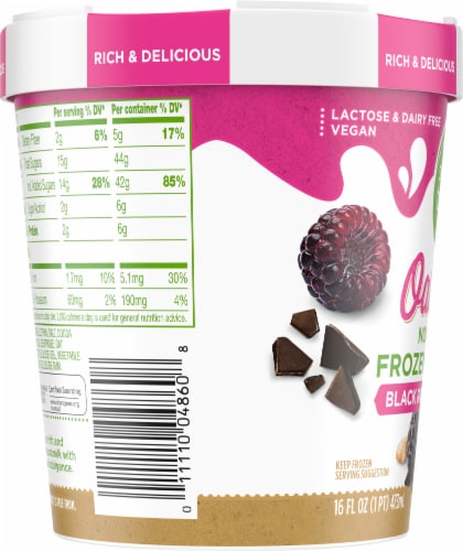 Simple Truth™ Black Raspberry Chip Oatmilk Dairy Free Frozen Dessert Perspective: left