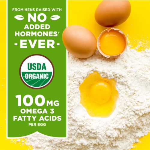 Simple Truth Organic™ Cage Free Grade A Large Brown Eggs Perspective: left