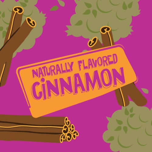 Kroger® Stix Cinnamon Graham Crackers Perspective: left