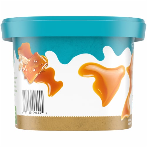 Simple Truth™ Dairy Free Sea Salt Caramel with Oat Milk Base Frozen Dessert Tub Perspective: left