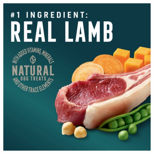 Abound® Grain Free All Size Dogs Jerky Bites Dog Treats Lamb Chickpea & Squash Perspective: left