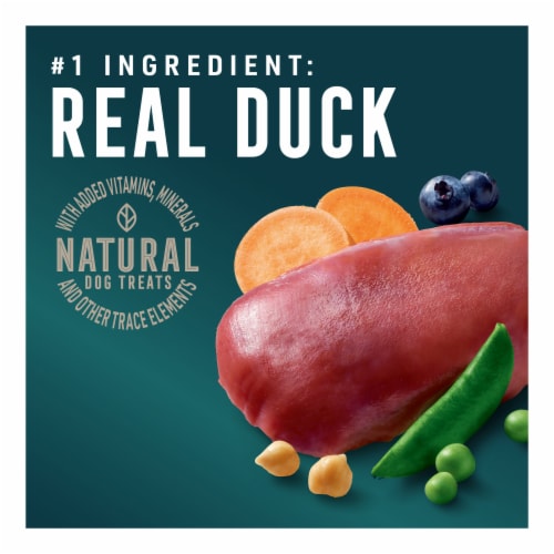 Abound® Grain Free All Size Dogs Jerky Bites Dog Treats Duck Sweet Potato & Blueberry Perspective: left