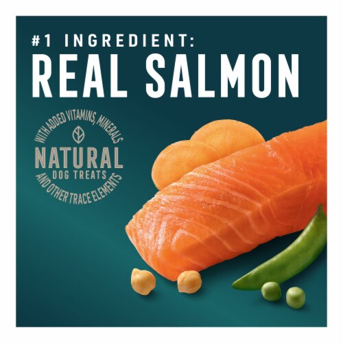 Abound® Grain Free All Size Dogs Jerky Bites Dog Treats Salmon & Sweet Potato Perspective: left