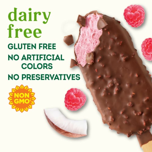 Simple Truth® Dairy Free Chocolate Raspberry Frozen Dessert Bars Perspective: left