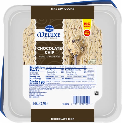 Kroger® Deluxe Chocolate Chip Ice Cream Party Pail BIG DEAL! Perspective: left