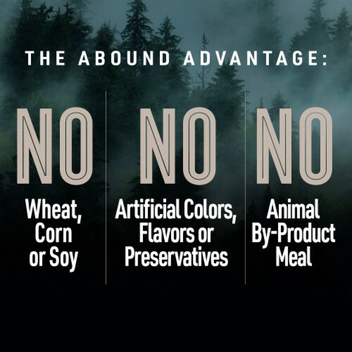 ABOUND® Wild Beginnings Lamb & Beef Dinner Pate Wet Dog Food Perspective: left