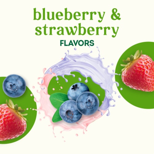 Simple Truth Organic® Reduced Fat Blueberry and Strawberry Yogurt Tubes Perspective: left
