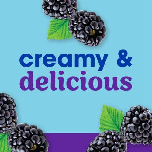 Kroger® CARBmaster® Blackberry Lactose Free Lowfat Yogurt Cup Perspective: left