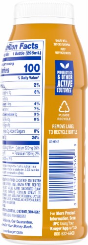 Kroger Carbmaster Blueberry Cream Protein Yogurt Smoothie Perspective: left