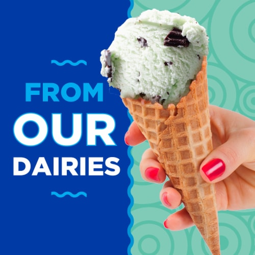 Kroger® Deluxe Mint Chocolate Chip Ice Cream Pint Perspective: left