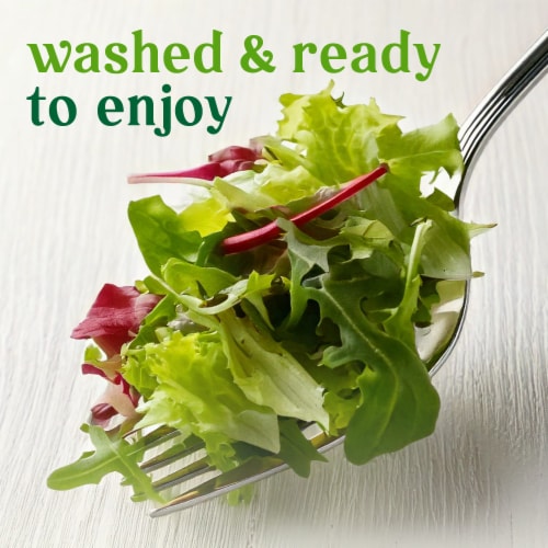 Simple Truth Organic® Very Veggie Medley Salad Starter Perspective: left