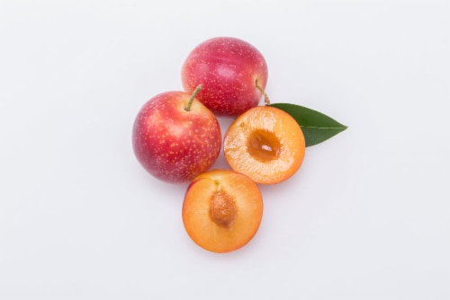 Private Selection® Fresh Cherry Plums in 1 LB Clamshell Perspective: left