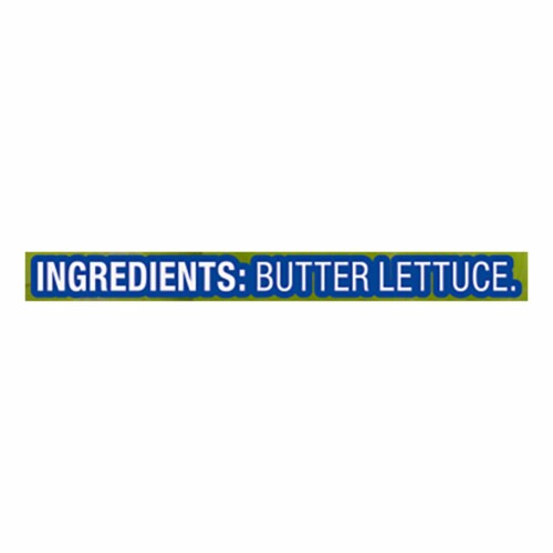 Kroger® Greenhouse Grown Butter Lettuce Perspective: left