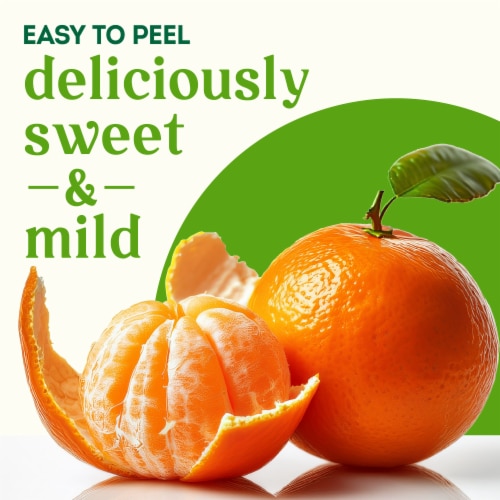 Simple Truth Organic® Fresh Seedless Mandarin Oranges Bag Perspective: left