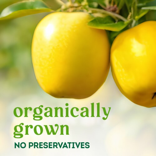 Simple Truth Organic® Opal® Apples Bag – 2 Pound Bag Perspective: left