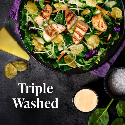 Private Selection® Sweet Onion and Gruyere Chopped Salad Kit Perspective: left