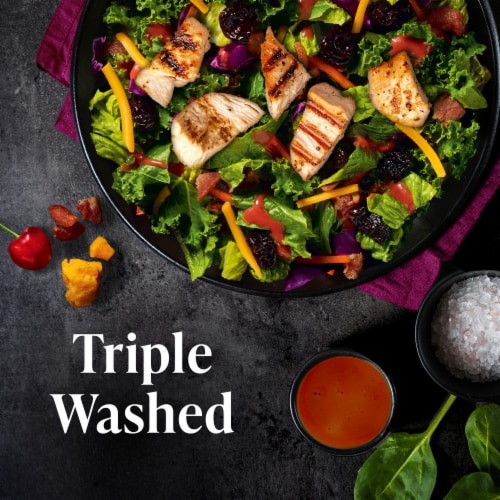 Private Selection® Smoked Cherry Bacon and Cheddar Chopped Salad Kit Perspective: left