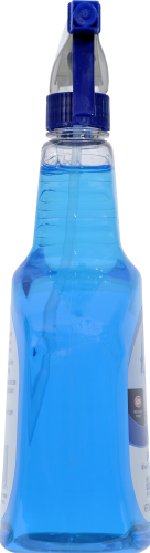 Ralphs Glass Cleaner Perspective: left