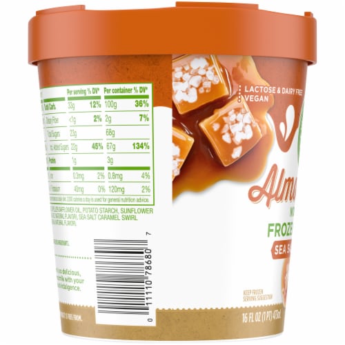 Simple Truth™ Dairy Free Sea Salt Caramel with Almond Milk Base Frozen Dessert Pint Perspective: left